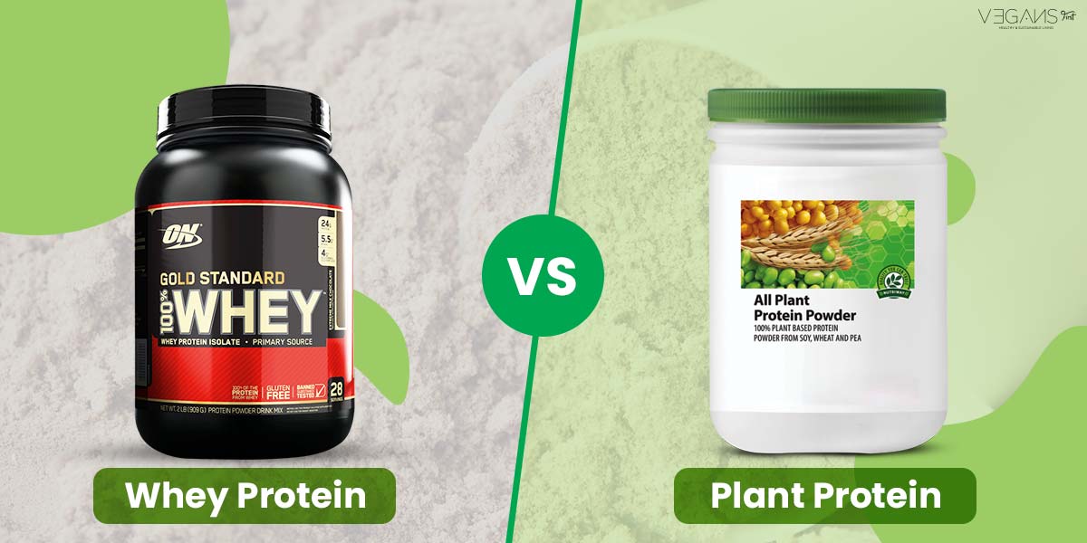 whey-protein-or-plant-protein-sosh-store