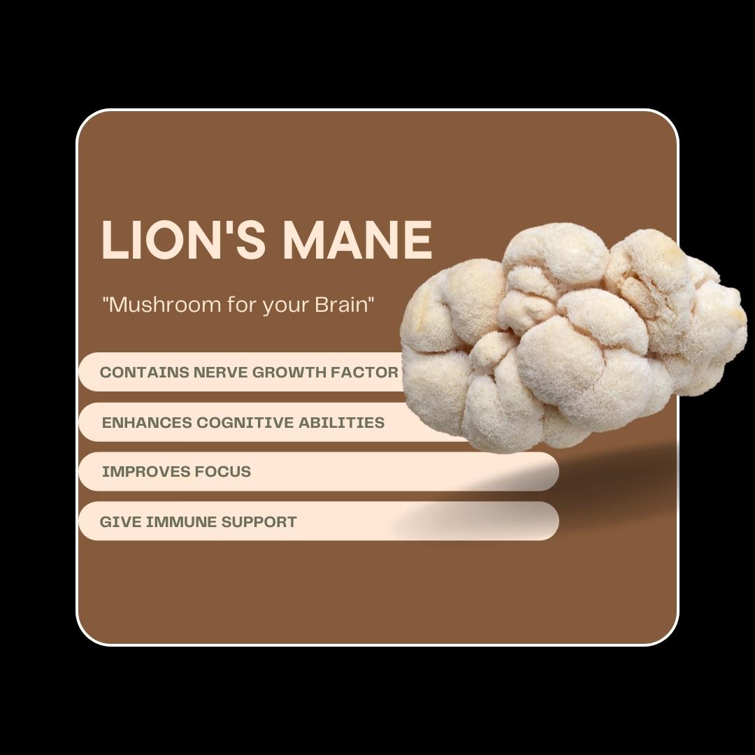 LION'S MANE EXTRACT | DOSE BAG