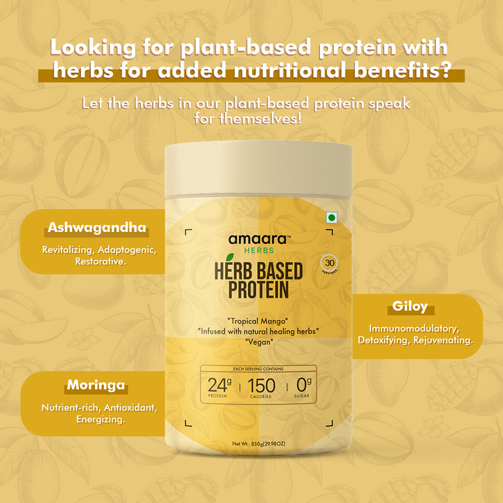 Herb Based Protein - Tropical Mango